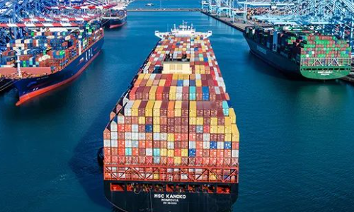 最新2021年度美國貨主100強公布！